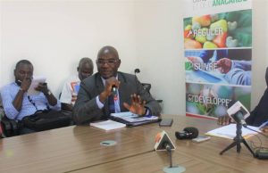 Economie: Ouverture de la campagne 2019 de commercialisation de la noix de Cajou : le prix du kilogramme fixé à 375F CFA