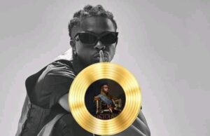 Show-business | Monjotrone History, Disque D’Or, DIDI
