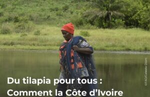 SOCIÉTÉ | Côte d’Ivoire, le poisson est au cœur de l’assiette.